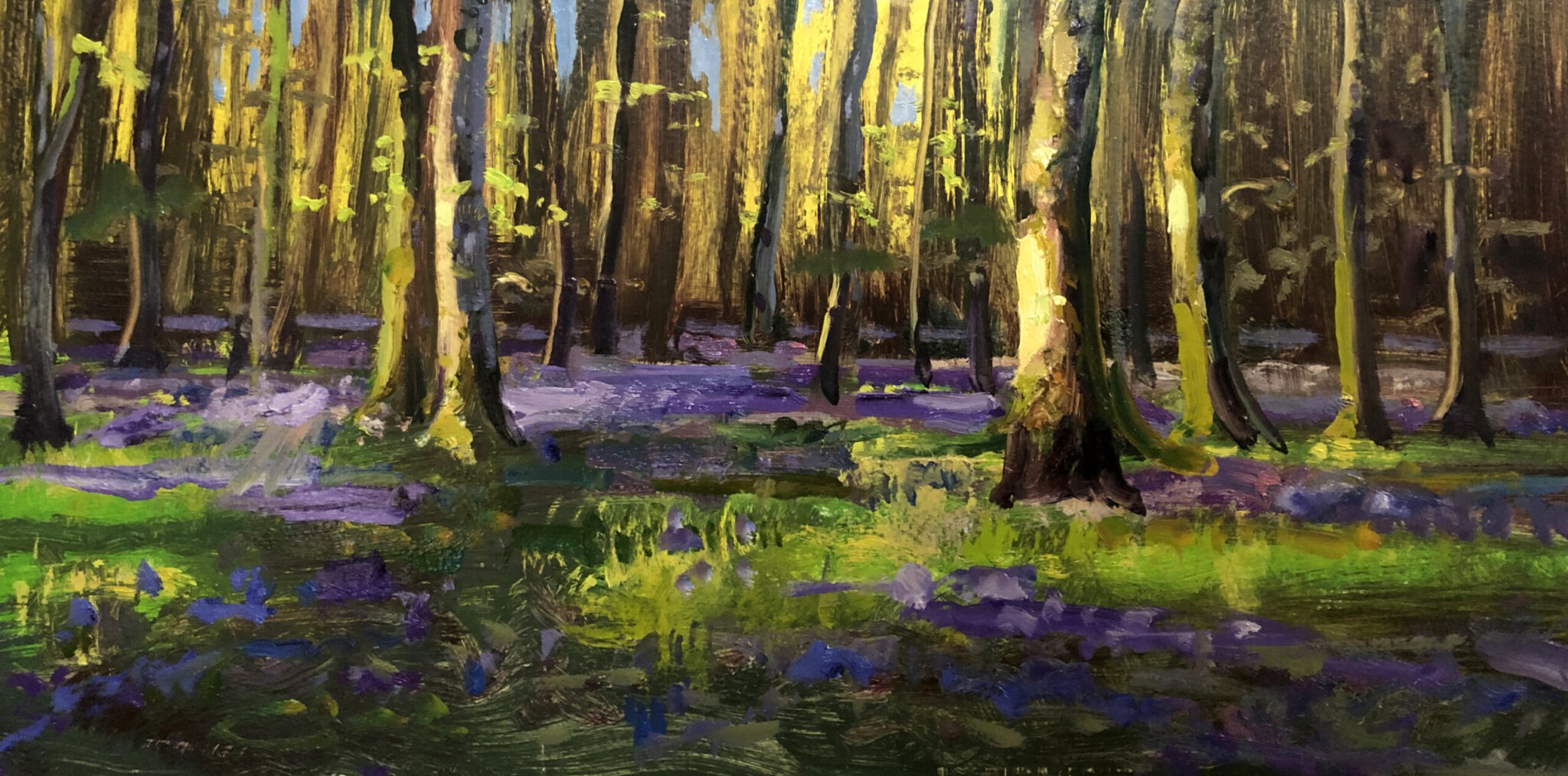 A painting of a dense forest with morning light that falls on spring bluebells.