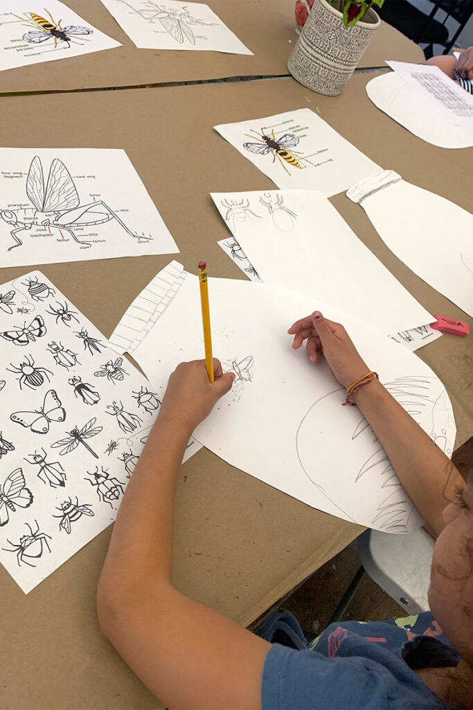 A child draws a butterfly using a reference from a page of line drawings