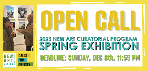 Open Call 2025 New Art Curatorial Program