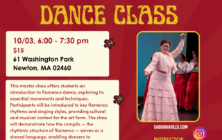Flamenco Workshop